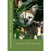Exotic Cat Care guide: African Serval Cat care