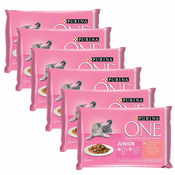 PURINA ONE JUNIOR multipack 24x85 g