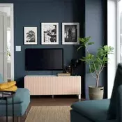 BESTA TV stalaža s vratima, bela Björköviken/Stubbarp/brezov furnir, 120x42x48 cm