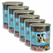 BELCANDO Junior - perutnina z jajcem - 6x800 g