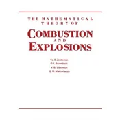 Mathematical Theory of Combustion and Explosions