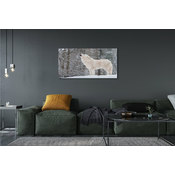 tulup.si Slika na akrilnem steklu Wolf zimski gozd 125x50 cm 4 obešalnika