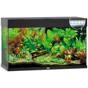 Aquarium et Juwelt Rio LED 125 crni 81x36x50cm 125l
