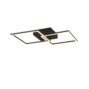 Reality Stropna LED-svetilka Trail 1-plamenska črna mat 44,6 cm x 39,6 cm