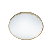 LED stropna svetiljka DRINA, prigušiva, LED/36W/230V 2700-6500K +daljinski upravljac