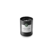Maria Nila Botanic Garden scented candle 210g