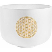 Meinl  PCSB10FOL Sonic Energy
