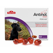 Antinol za pse - 60 kapsula
