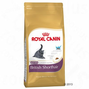 Royal Canin British Shorthair Kitten - ekonomično pakiranje: 2 x 10 kg