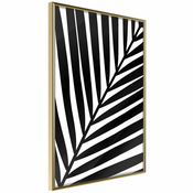 Poster - Black Palm 40x60