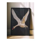 WallXpert uramljena slika 115246, beli labud u letu na tamnoj pozadini, 30 x 40 cm, crni ram