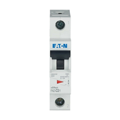 EATON Eaton miniaturni odklopnik FAZ-C2/1, (20889956)