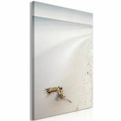 Slika - Coast (1 Part) Vertical 40x60