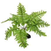 REPTI PLANET Dekoracija Nephrolepis praproti rastlina 20cm