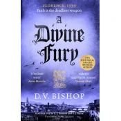 Divine Fury