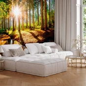 Foto tapeta - Marvelous Forest 500x350 Standard