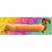 Aquarius - Puzzle Wiener Dog - 1 000 dijelova