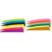 Gateway Feather 3” Shield RW