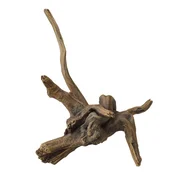 AQUA DELLA DRIFTWOOD 2