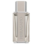 Salvatore Ferragamo Ferragamo Bright Leather toaletna voda 50 ml za moške