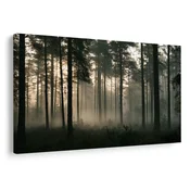 Slika meglen borov gozd ob svitanju - 150x100
