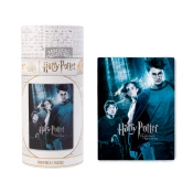 Harry Potter PUZZLE 500 DELOV HARRY POTTER UJETNIK IZ AZKABANA, (20855101)
