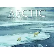 Arctic