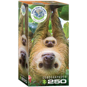Eurographics Sloths 250-Piece Puzzle 8251-5556