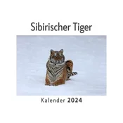 Sibirischer Tiger (Wandkalender 2024, Kalender DIN A4 quer, Monatskalender im Querformat mit Kalendarium, Das perfekte Geschenk)