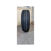 Minerva Frostrack Van ( 195/75 R16C 107R )