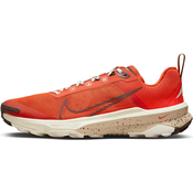 Trail tenisice Nike Kiger 9