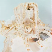 Pale Saints - In Ribbons (30th Anniversary Re:Masters) (Reissue) (2 LP)