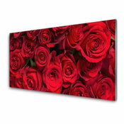 tulup.si Slika na steklu Red roses flowers narava 140x70 cm 2 obešalnika