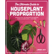 The Ultimate Guide to Houseplant Propagation