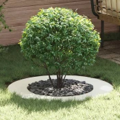 pogodno za ravne drvene prstenove 5 pcs Bijelo O50 / 80 cm Celik
