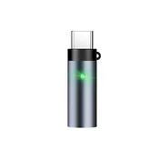 INF Mini Direct Plug Adapter za Vžigalnik Cigarete za Telefone Tipa C, (5000163123)