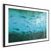 shumee Plakat - Jata temnih rib