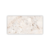 PLOČICA 60X60 GRAVEL NATURAL GLOSSY