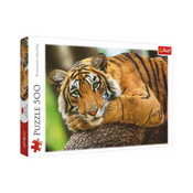 Trefl Tiger Portretna sestavljanka/500 kosov