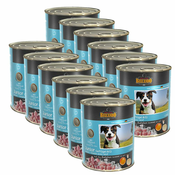 BELCANDO Junior - Perutnina z jajcem - konzerva 12x800g