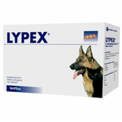 Lypex kapsula 60 komada