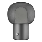 Antracitno siva aluminijasta LED namizna svetilka s steklenim senčilom (višina 32 cm) Iris – Blomus