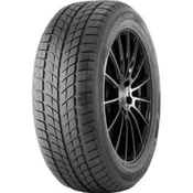 Double Star DW09 ( 255/55 R20 110H XL )