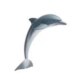 Safari Delfín
