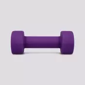 TEG LNSD FITNESS WEIGHTS 2KG