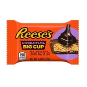 Reeses Peanut Butter Big Cup Chocolate Lava 39g