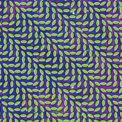 Animal Collective - Merriweather Post Pavilli (2 LP)