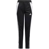 Hlače adidas TIRO24 TRPTY