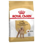 Royal Canine Poodle