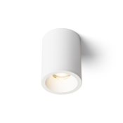 RENDL R13606 EILEEN stropna svetilka, za kopalnico IP65 bela